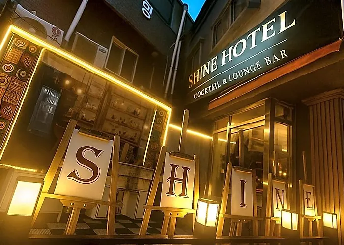Hotel Shine 3*