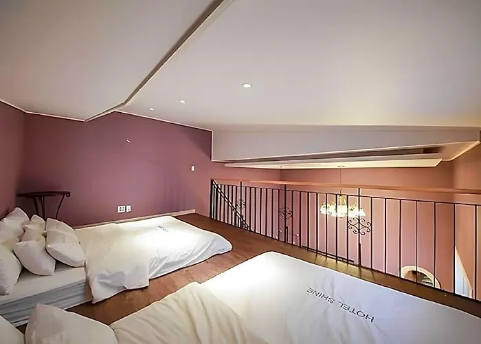 Hotel Shine 3*